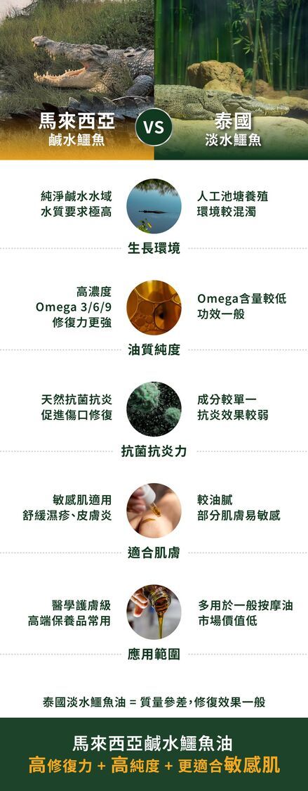 森源 鱷敏油