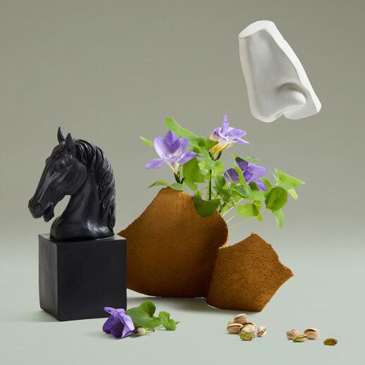 PENHALIGONS 獸首肖像香水系列不期而遇的芬利Fortuitous Finley 淡香精