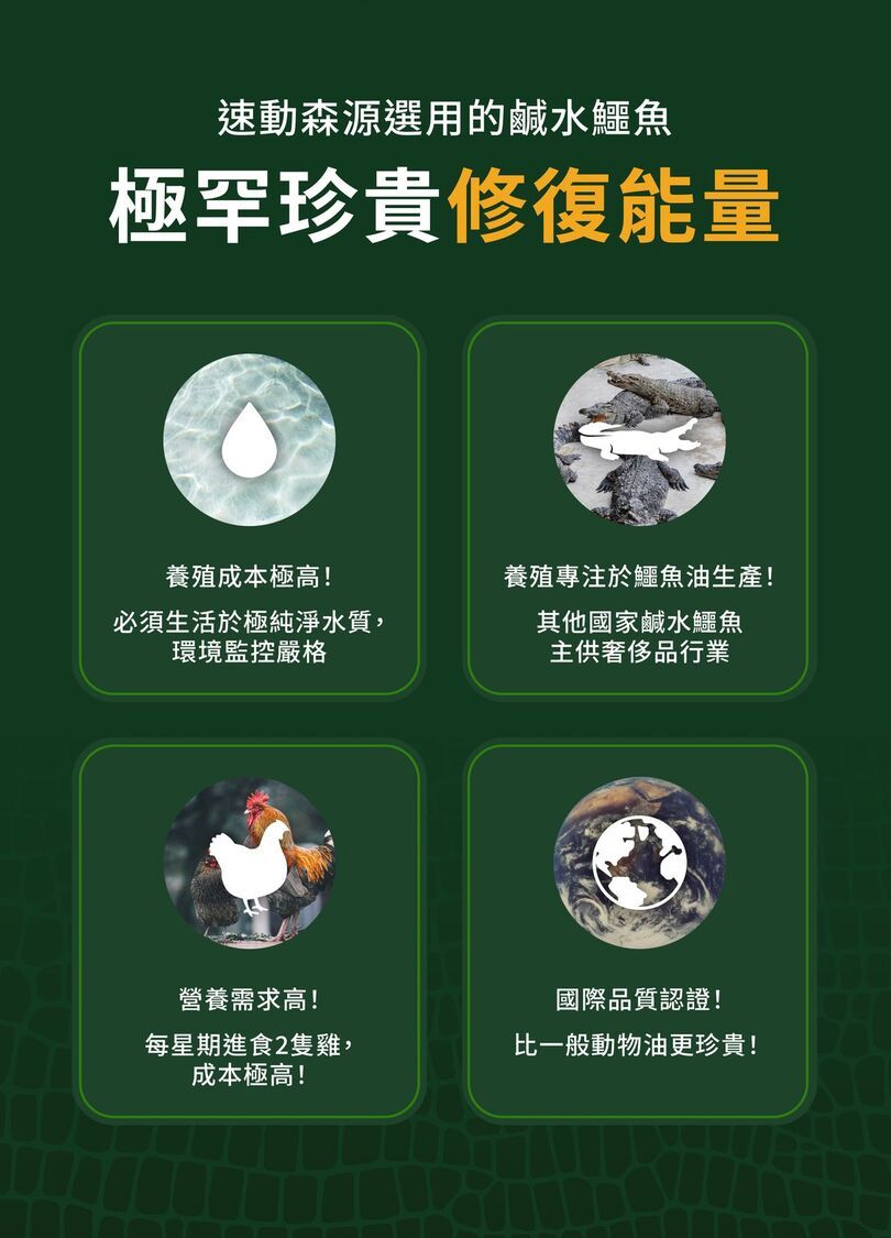 森源 鱷敏油