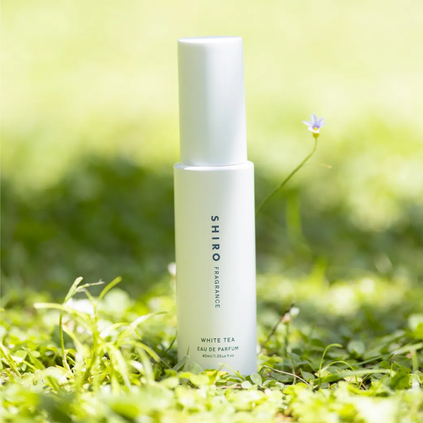 to/one Dream Flora Essence Milk 夢幻花漾精華乳150ml【平行進口