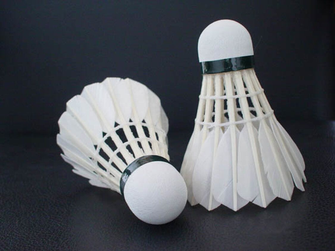 YONEX AEROSENSA 10本 120球 AEROSENSA 10 – Yonex USA