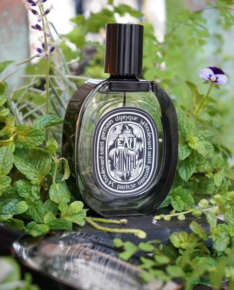 DIPTYQUE Eau De Minthe 青蕨淡香精75ml｜Genie Buy